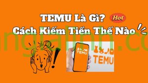 temu là gì cách kiếm tiền temu